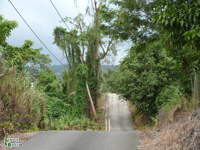 home-base-1-puerto-rico-2013-029