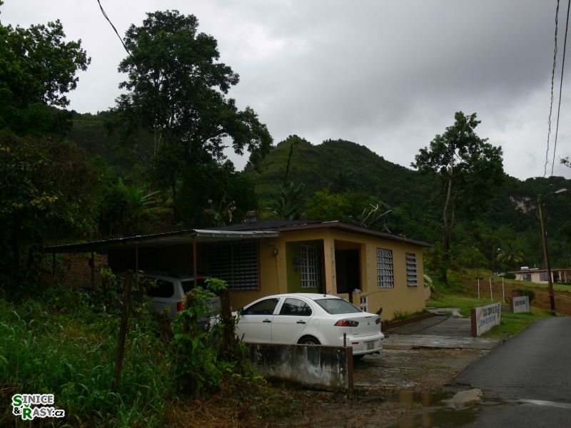 home-base-1-puerto-rico-2013-044