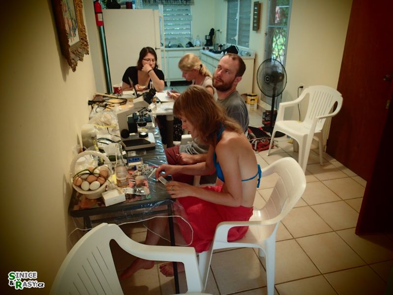 home-base-1-puerto-rico-2013-055