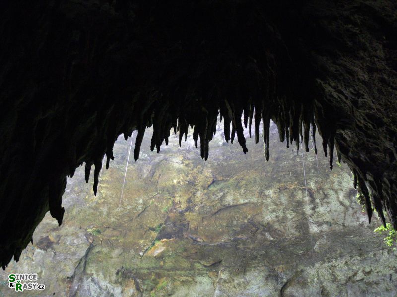 parque-de-las-cavernas-de-rio-camuy-puerto-rico-2013-002