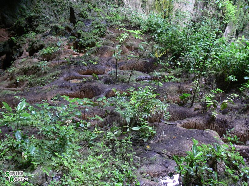 parque-de-las-cavernas-de-rio-camuy-puerto-rico-2013-003