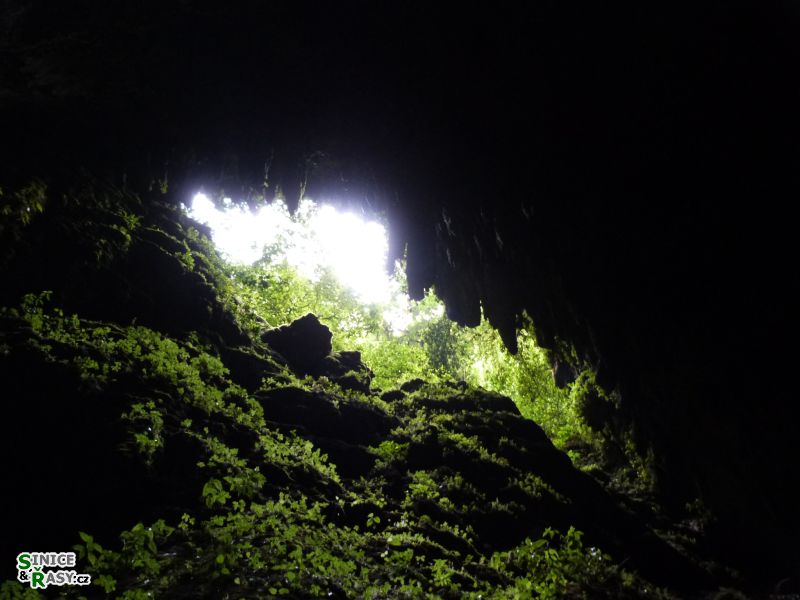 parque-de-las-cavernas-de-rio-camuy-puerto-rico-2013-006