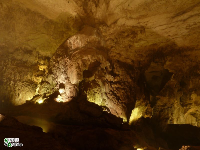 parque-de-las-cavernas-de-rio-camuy-puerto-rico-2013-010