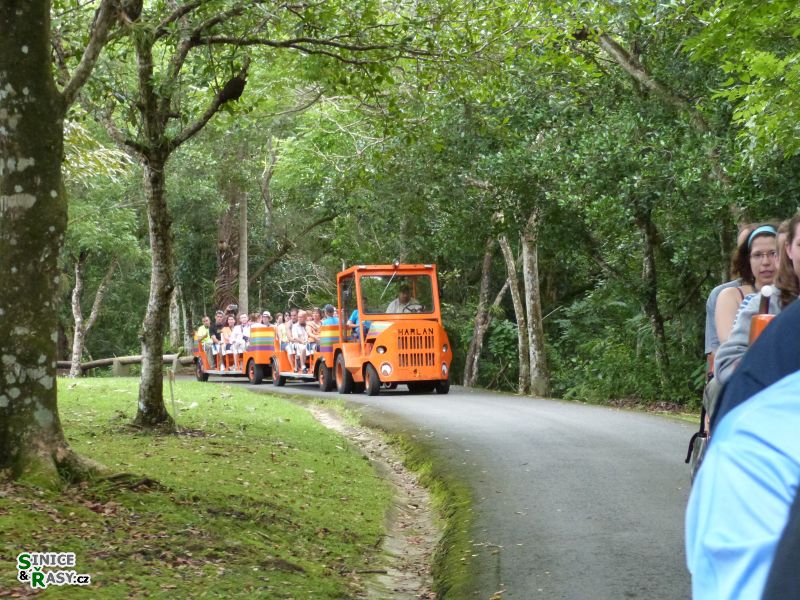 parque-de-las-cavernas-de-rio-camuy-puerto-rico-2013-011