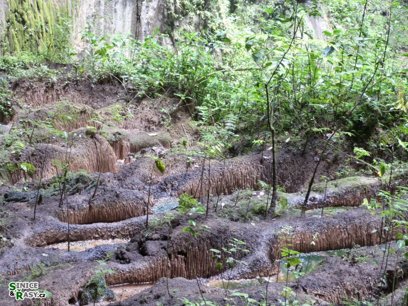 parque-de-las-cavernas-de-rio-camuy-puerto-rico-2013-013