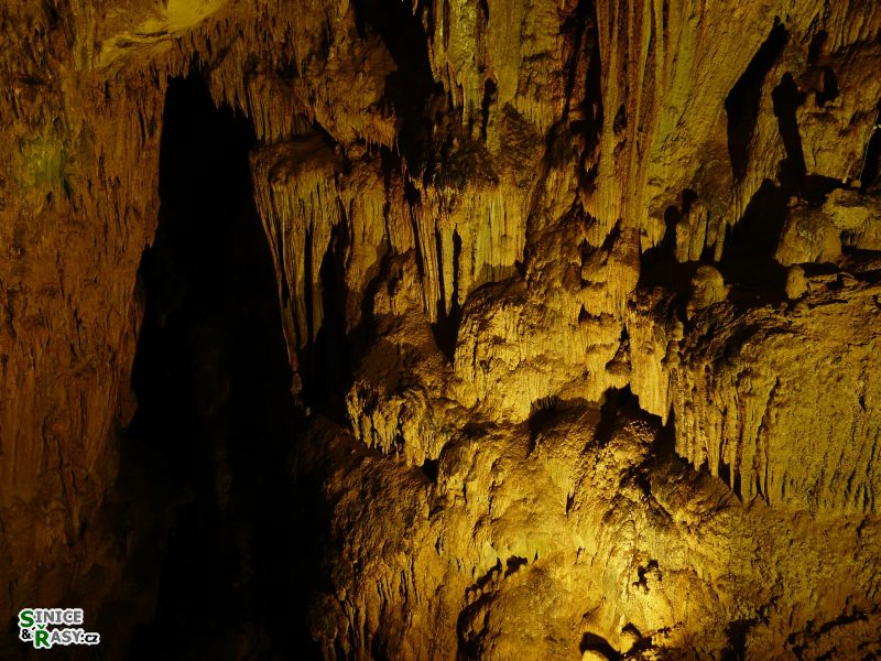 parque-de-las-cavernas-de-rio-camuy-puerto-rico-2013-016