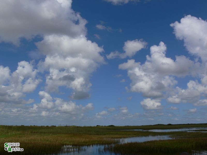 florida-2013-001