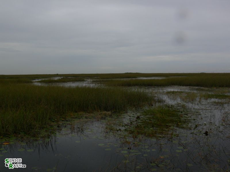 florida-2013-005