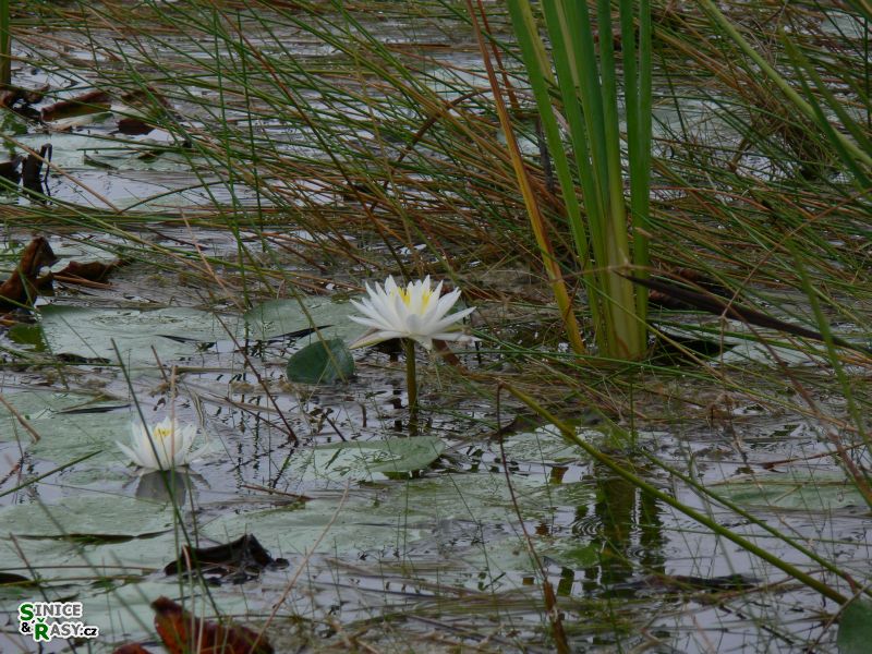 florida-2013-006