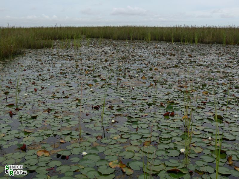 florida-2013-008