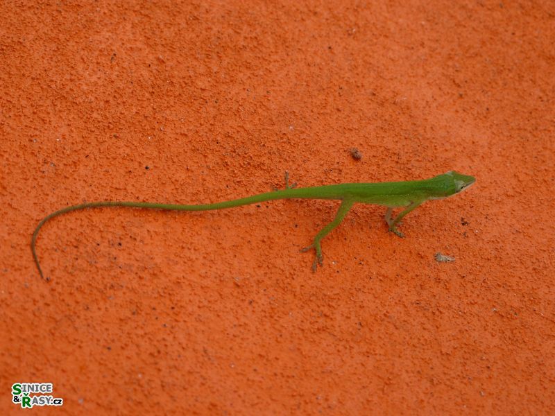 florida-2013-031