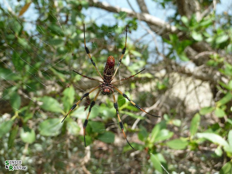 florida-2013-032