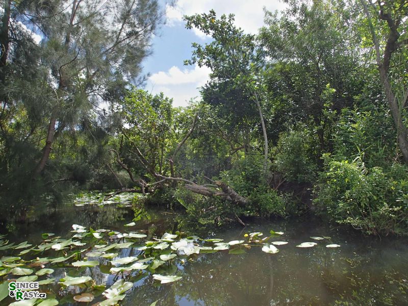 florida-2013-033