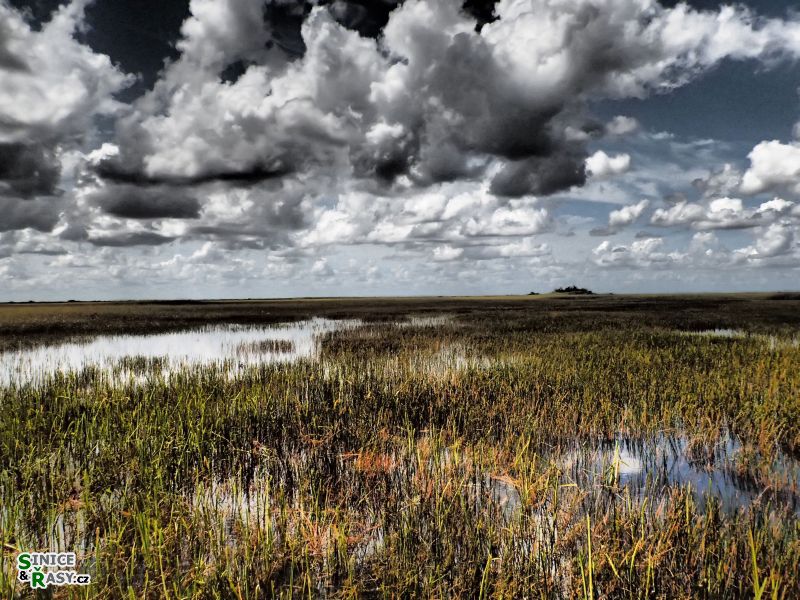 florida-2013-035