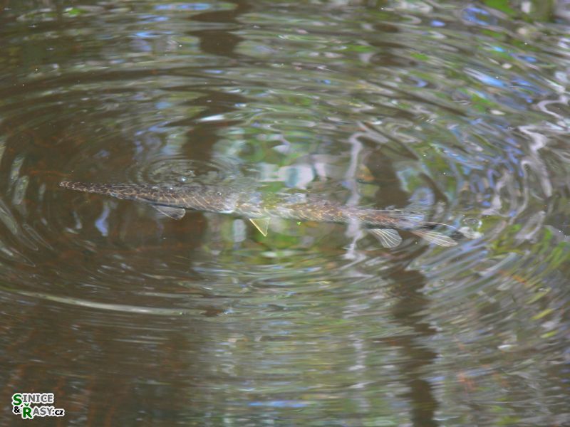 florida-2013-058