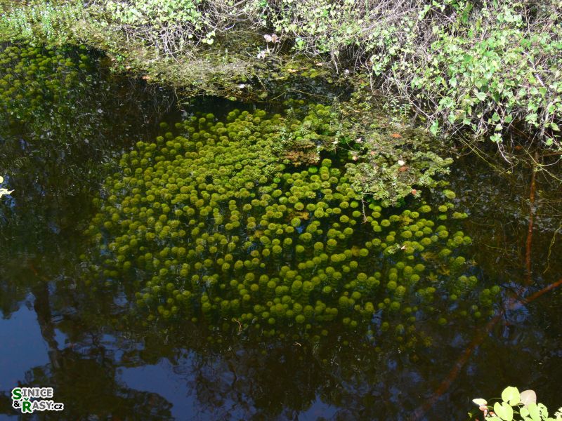 florida-2013-059