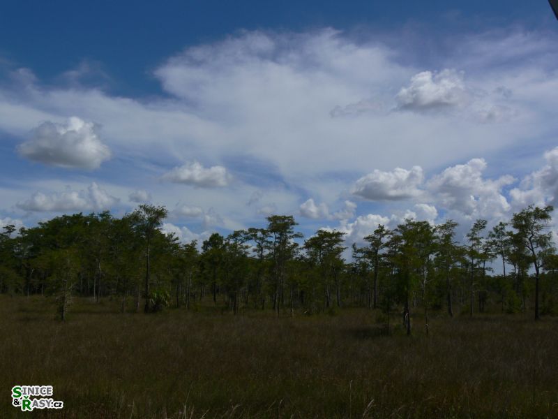 florida-2013-060