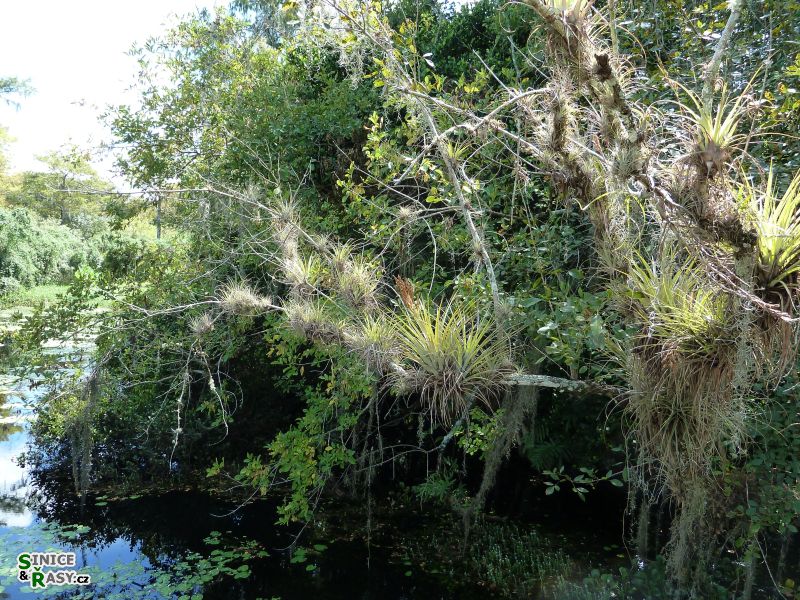 florida-2013-066