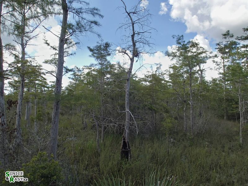 florida-2013-073