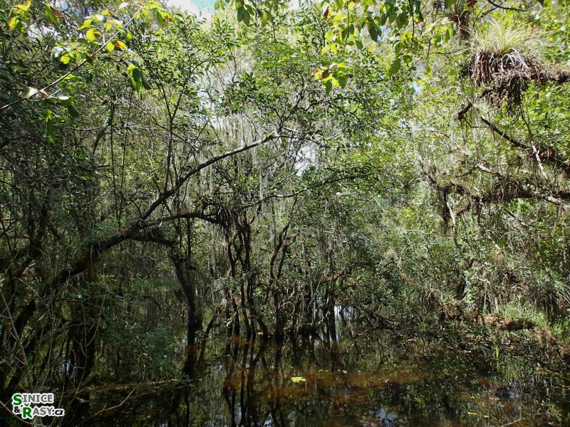 florida-2013-075