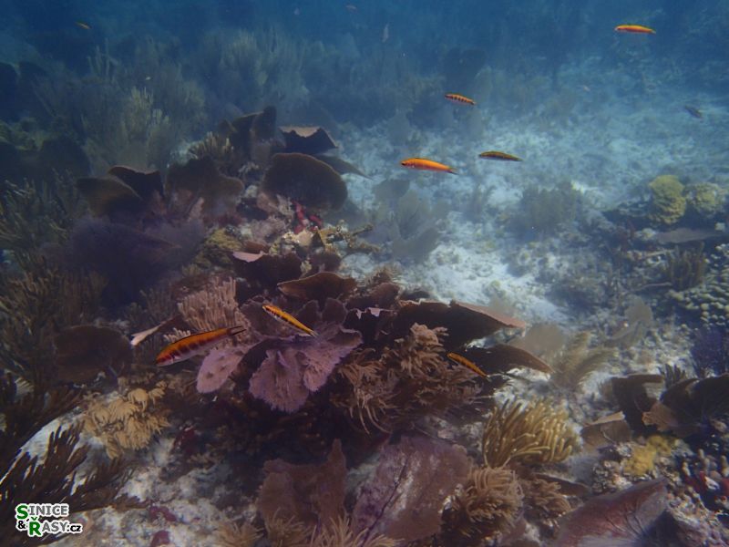 florida-2013-079