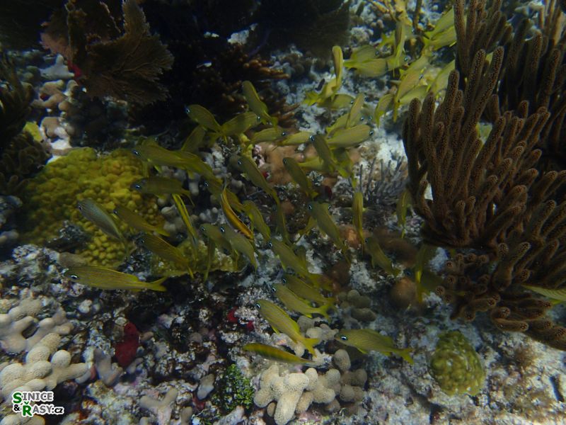 florida-2013-090