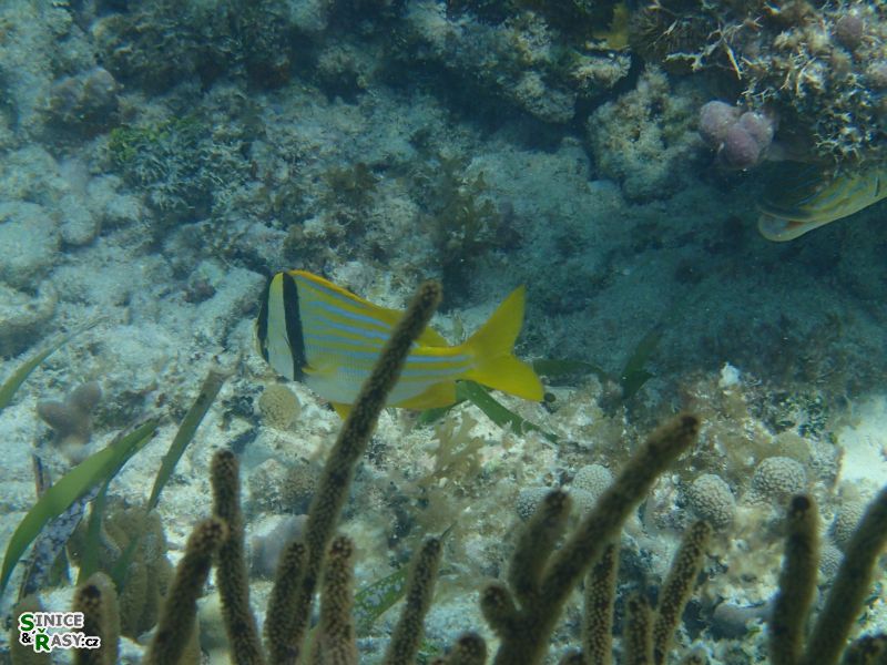 florida-2013-096