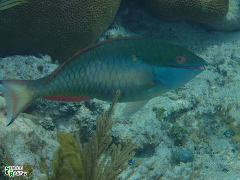 florida-2013-098