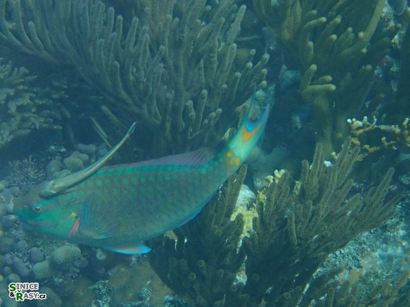 florida-2013-104