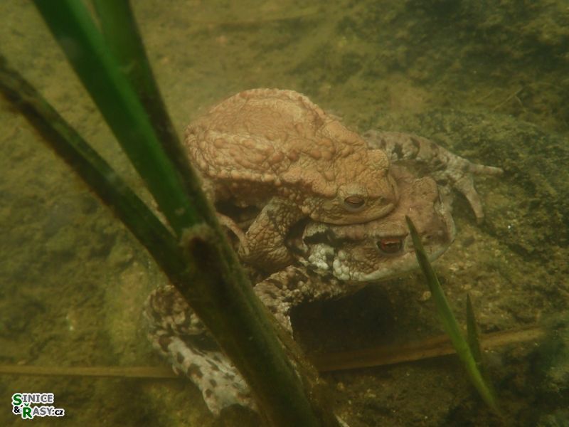 p4070054