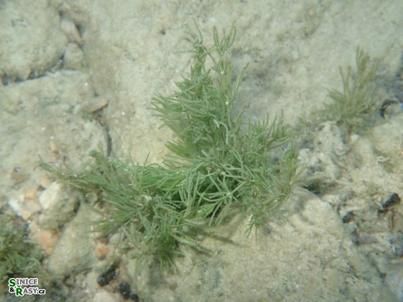 p9080001