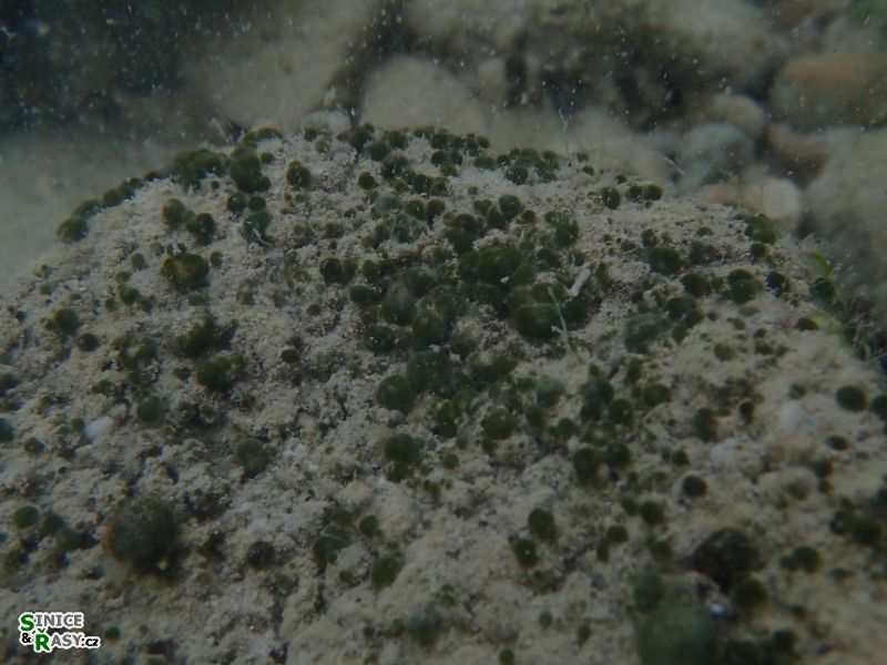 p9080010