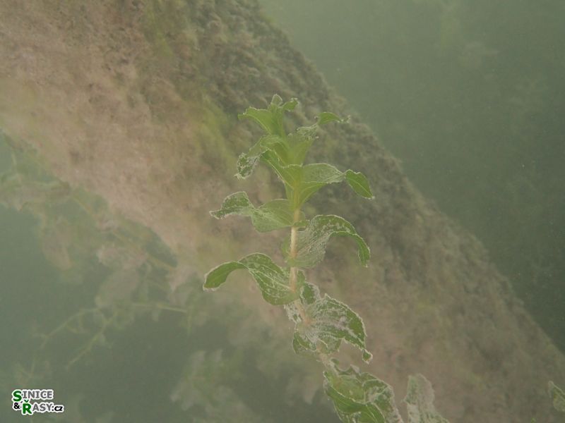 p9080026