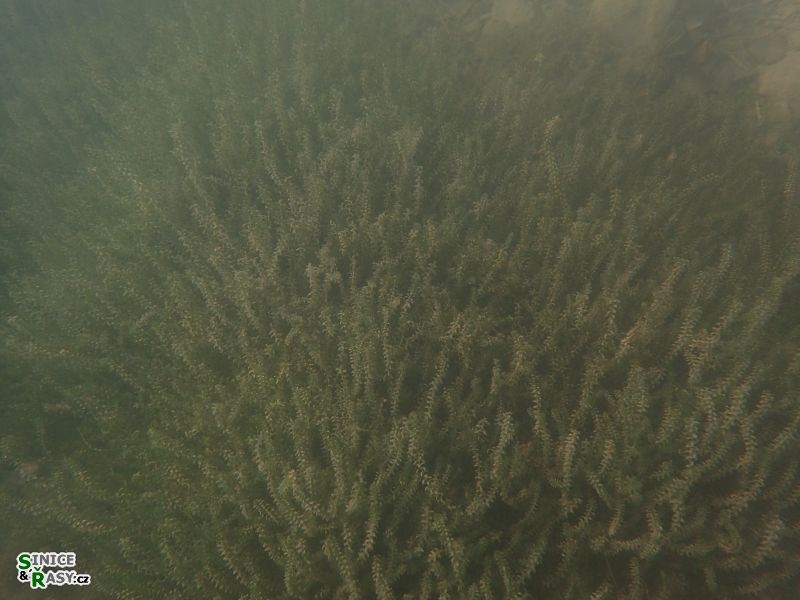 p9080034