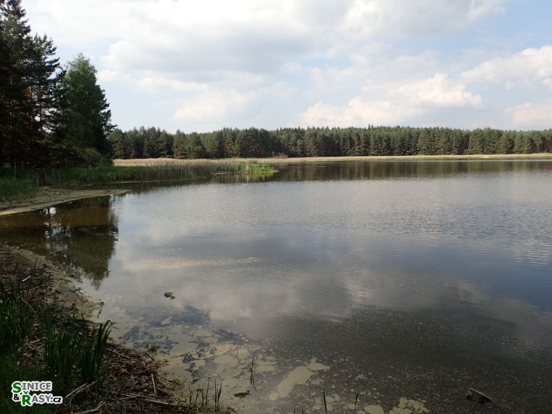 p5110026