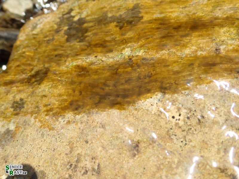 mezioborov-exkurze_2019_40