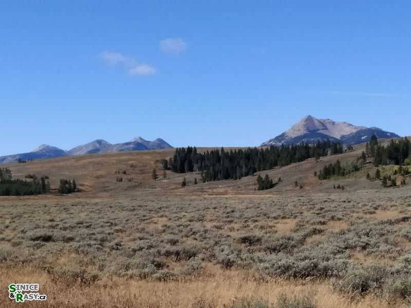 yellowstone_2019_11