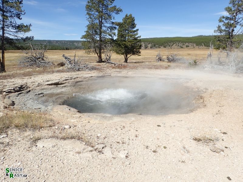 yellowstone_2019_28