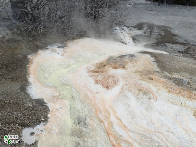 yellowstone_2019_39