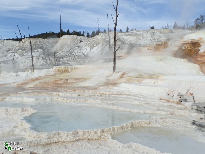 yellowstone_2019_40