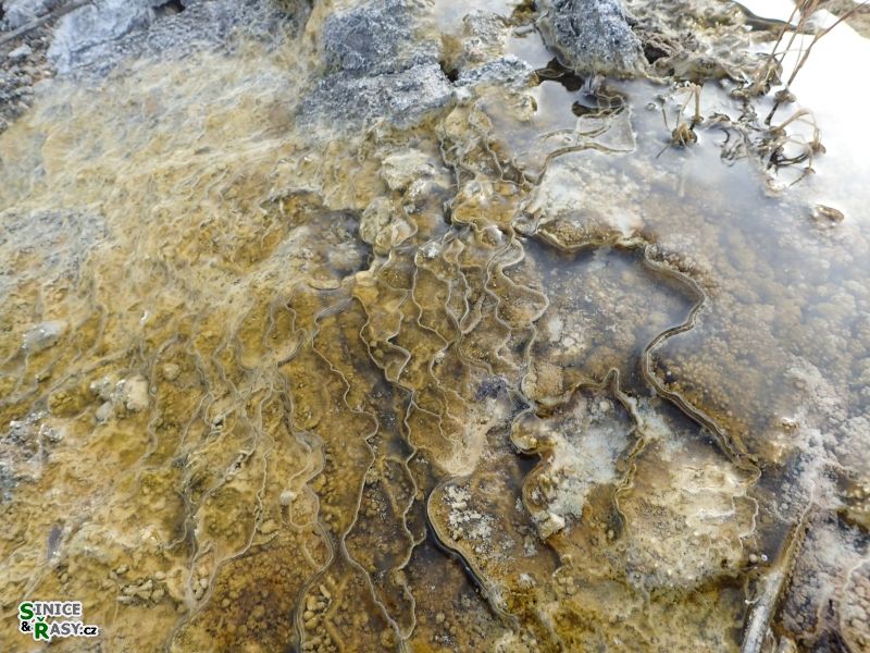 yellowstone_2019_41