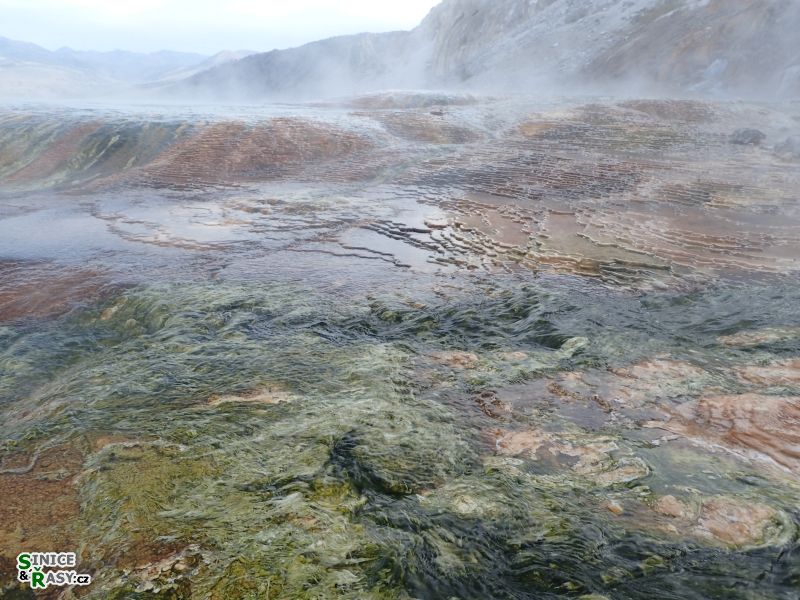 yellowstone_2019_43
