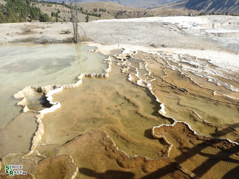 yellowstone_2019_46