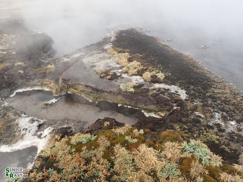 yellowstone_2019_51