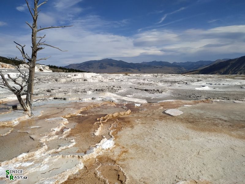 yellowstone_2019_8