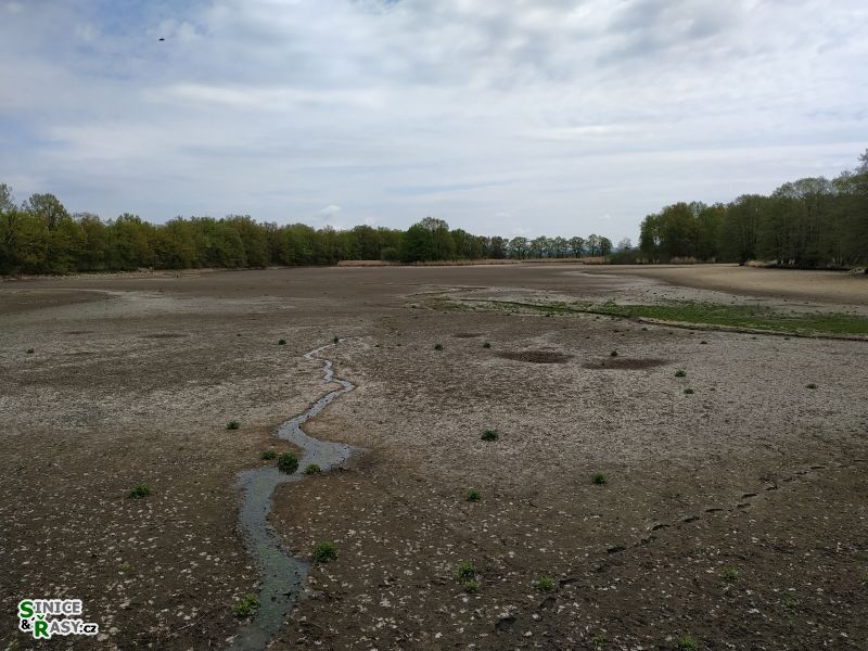 Vypuštěný rybník Škaredý, jako za Žižky