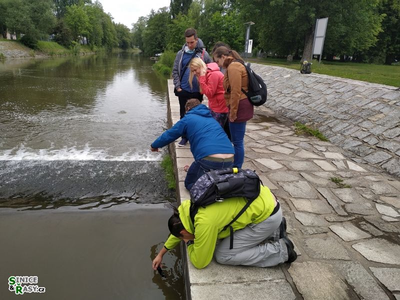 odběry ve městě mají své kouzlo I.