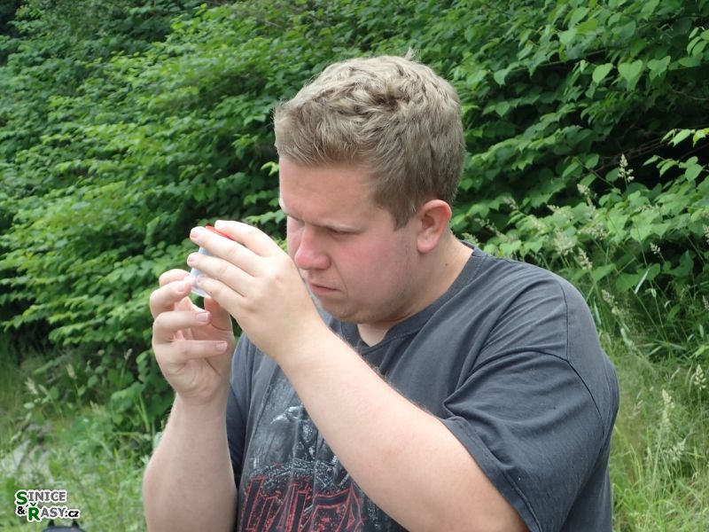 Soustředění II.
