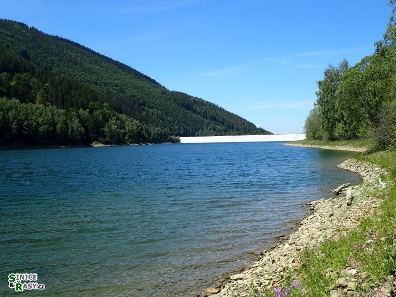 tomu říkám průhlednost