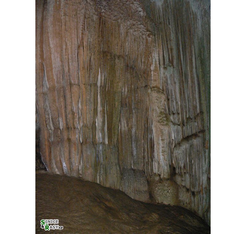 3-guajataca-state-forest-puerto-rico-2013-004